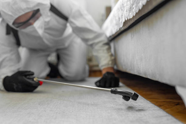 Professional Cockroach Control technician working in Baltimore city County, MD